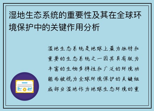 湿地生态系统的重要性及其在全球环境保护中的关键作用分析